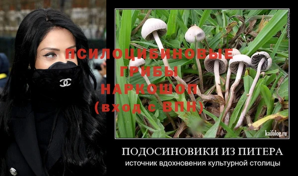 прущий лед Краснослободск