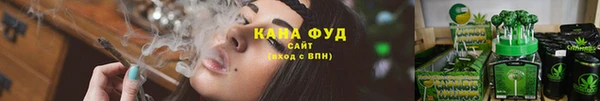 прущий лед Краснослободск