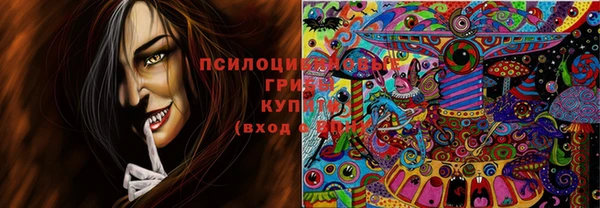 дурь Кукмор
