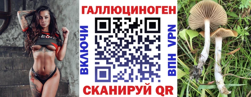Псилоцибиновые грибы Psilocybe Купить Нерехта